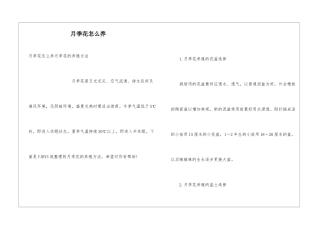 月季花怎么养
