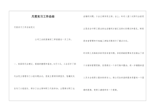 月度实习工作总结