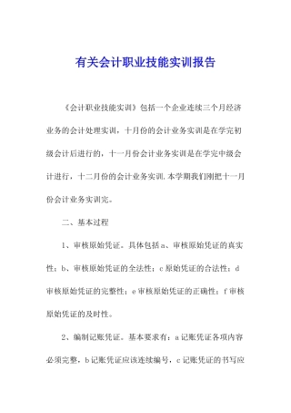有关会计职业技能实训报告