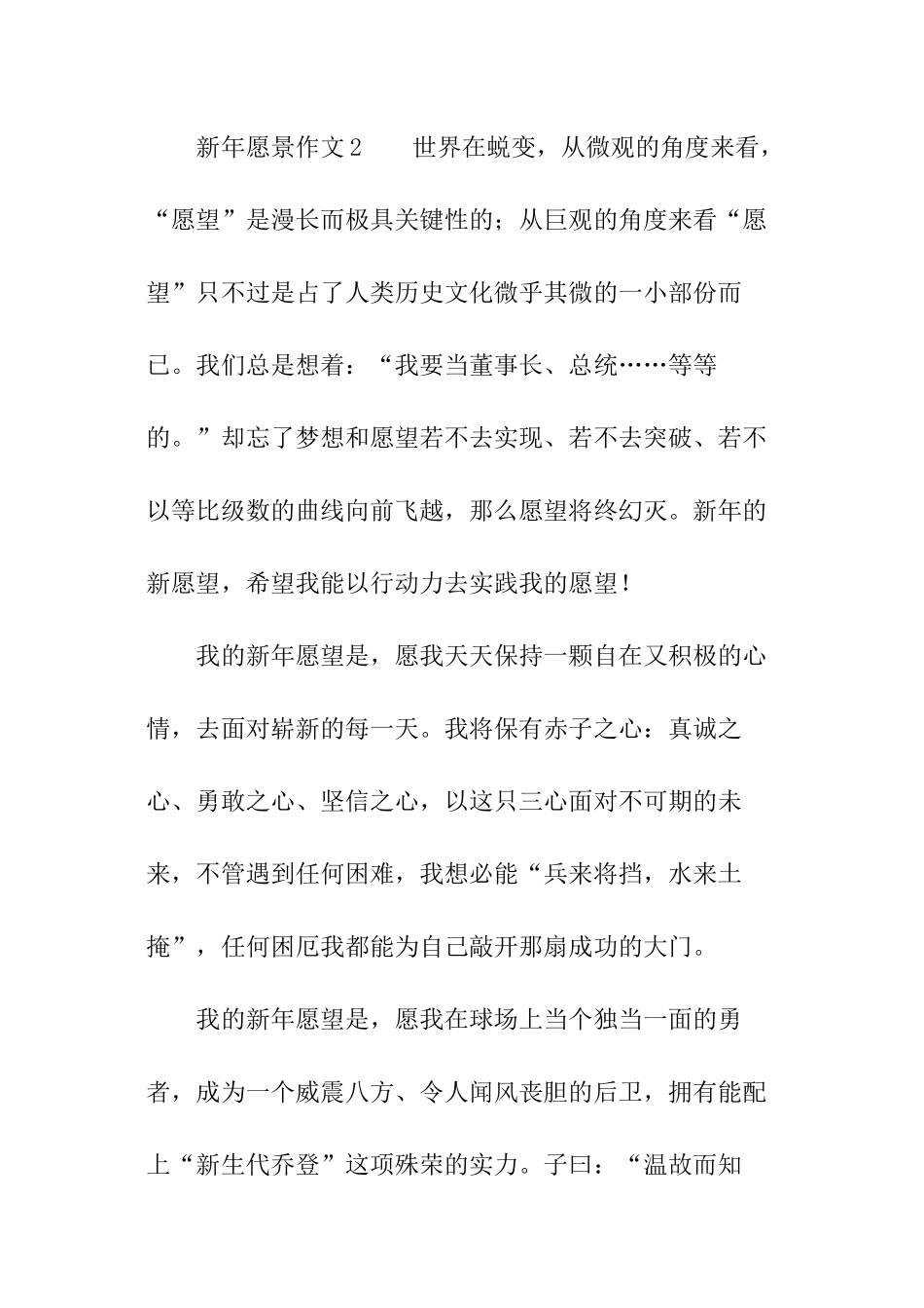 有关新年愿景作文_第3页