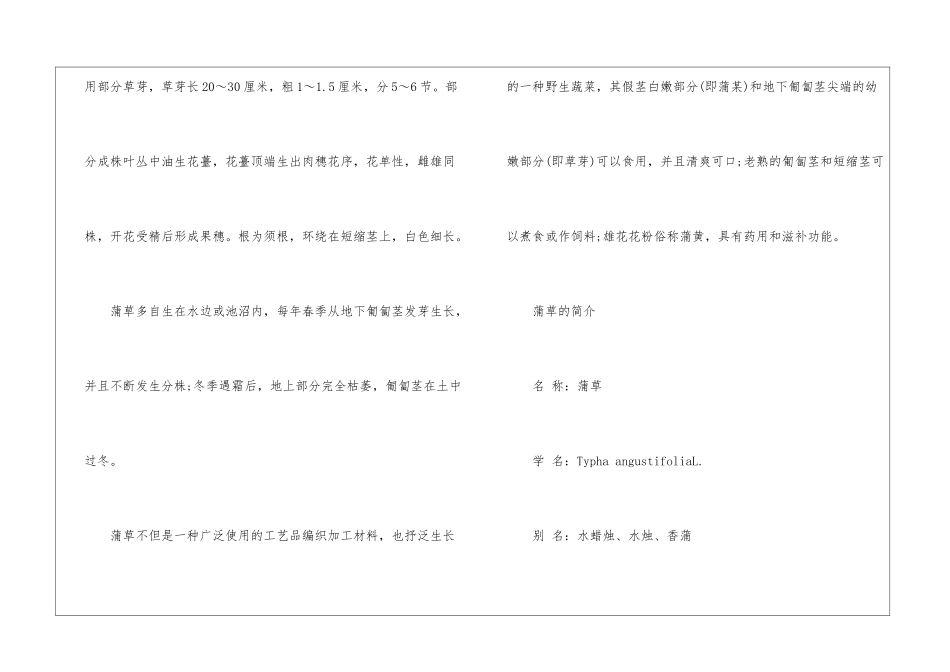 有关蒲草的花语是什么-鲜花礼仪_第2页