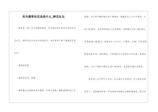 有关蒲草的花语是什么-鲜花礼仪