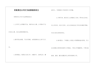 有限责任公司行为规范范文--