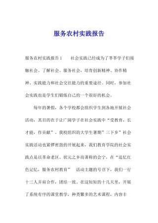 服务农村实践报告