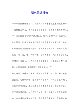 期末总结报告-