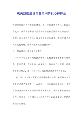 机关效能建设自查自纠情况心得体会-