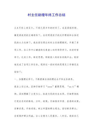 村主任助理年终工作总结-