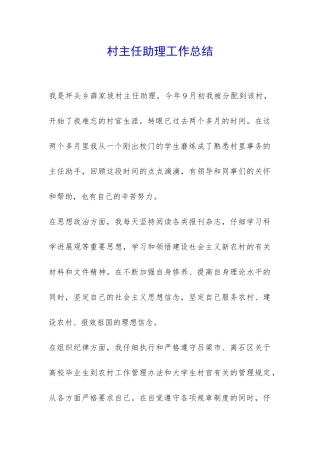 村主任助理工作总结-