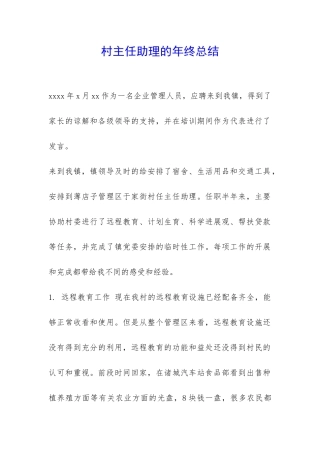 村主任助理的年终总结-