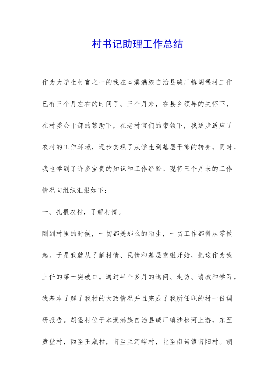 村书记助理工作总结-_第1页