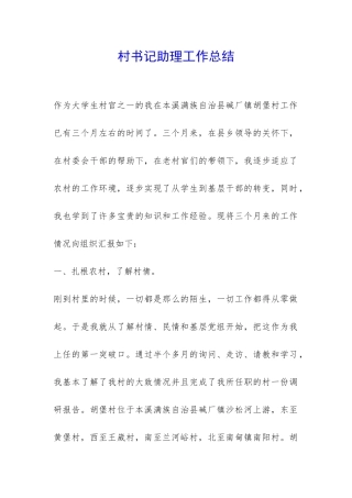 村书记助理工作总结-