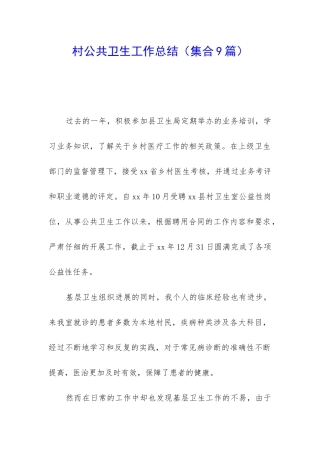 村公共卫生工作总结
