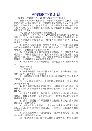 村妇联工作计划