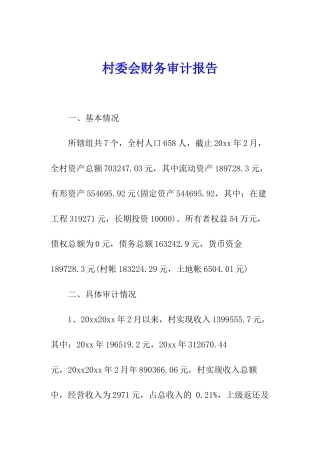 村委会财务审计报告
