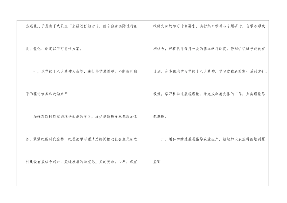 村委工作计划三篇_第3页