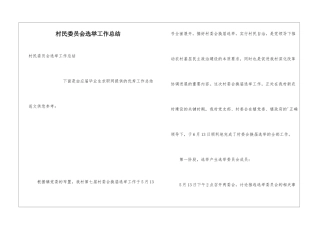 村民委员会选举工作总结