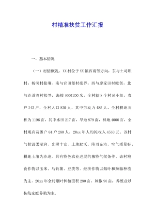 村精准扶贫工作汇报