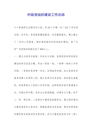村级党组织建设工作总结-