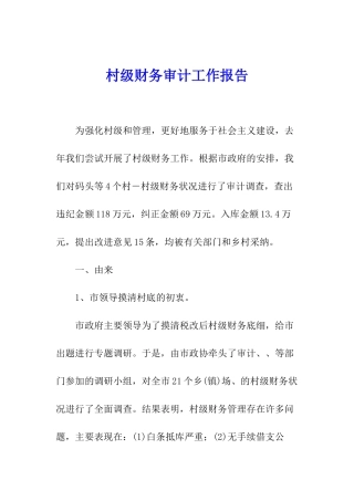 村级财务审计工作报告