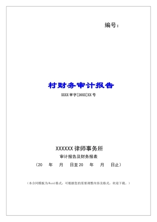 村财务审计报告