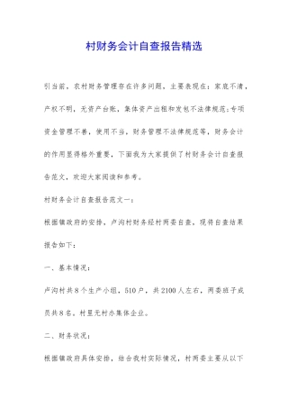村财务会计自查报告精选-