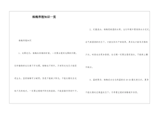 杨梅养殖知识一览