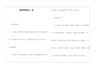 枇杷养殖知识一览