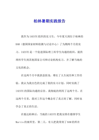 柏林暑期实践报告