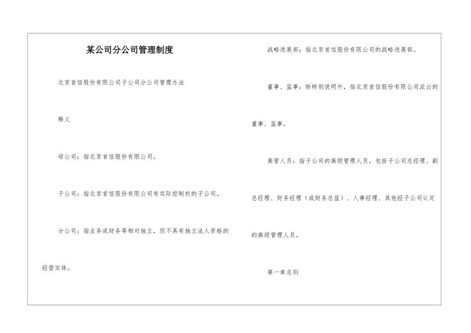 某公司分公司管理制度_第1页