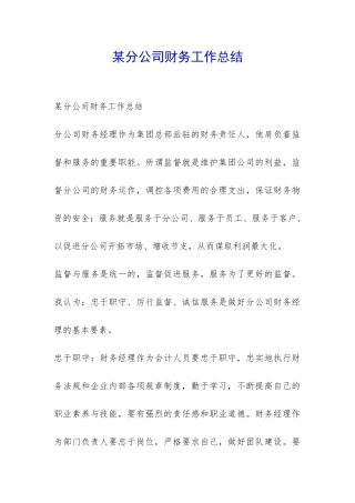某分公司财务工作总结-