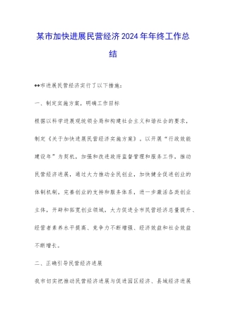 某市加快发展民营经济2024年年终工作总结-