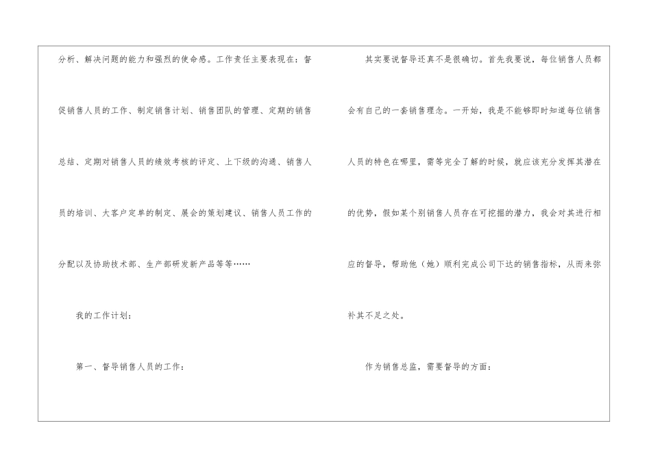 某销售总监的工作计划_第2页