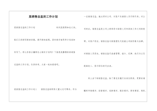 某销售总监的工作计划