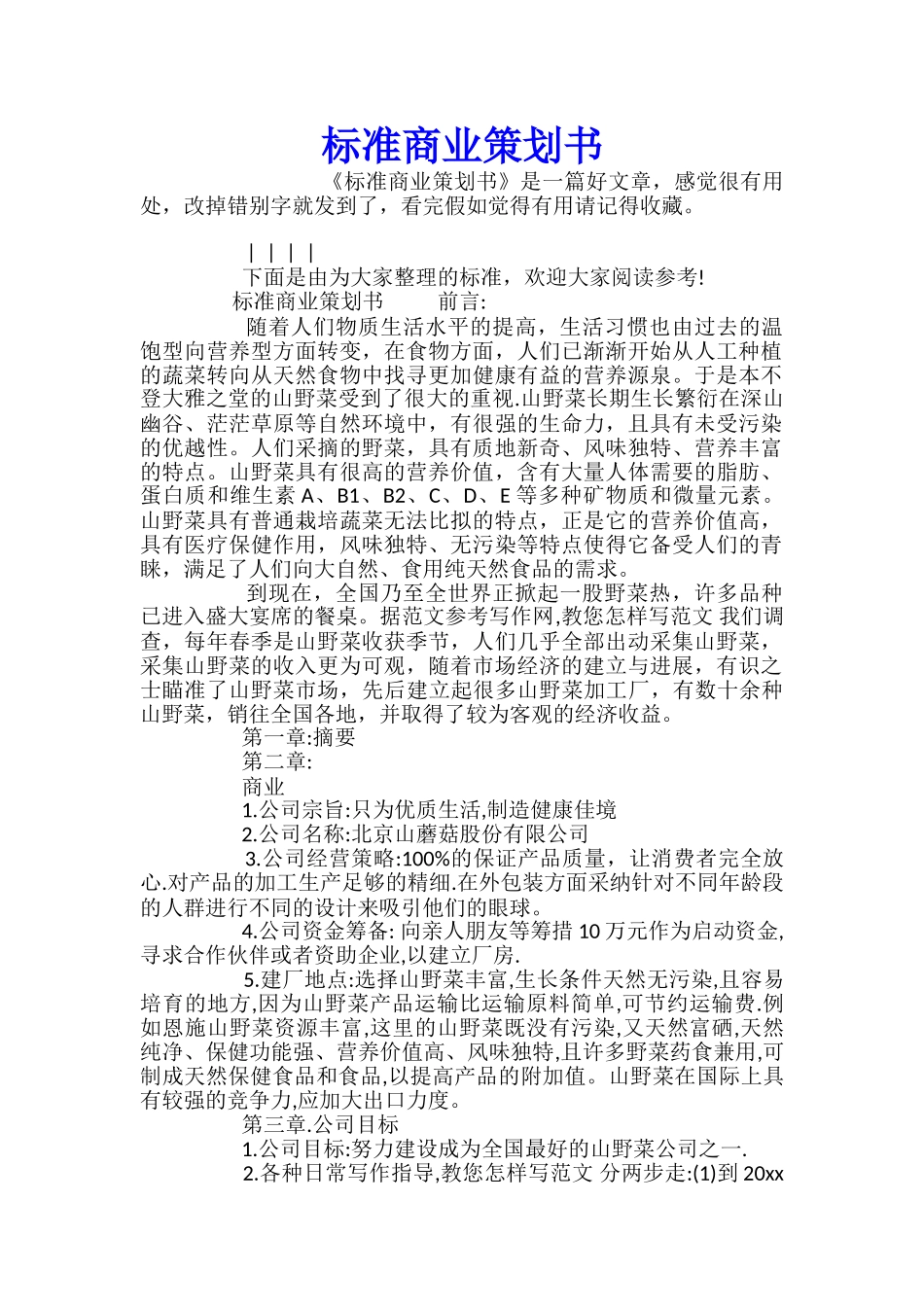 标准商业策划书_第1页