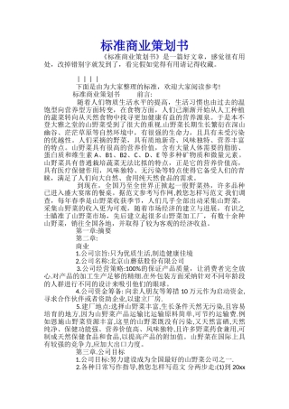 标准商业策划书