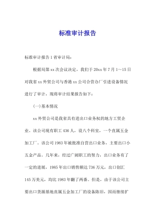 标准审计报告