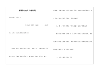 校园出纳员工作计划