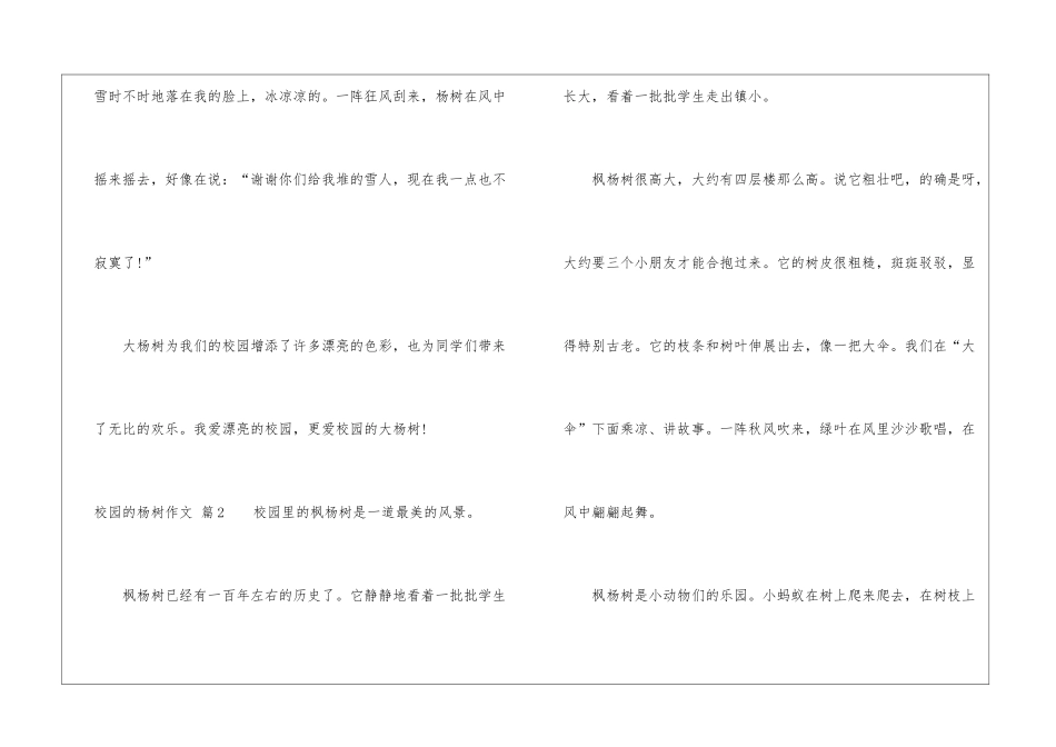 校园的杨树作文四篇_第3页