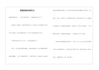 校园的桂花香作文