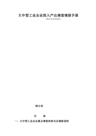 省统计局大中型工业企业投入产出调查填报手册（填乙表企业使用