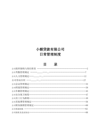 小额贷款有限公司日常管理制度