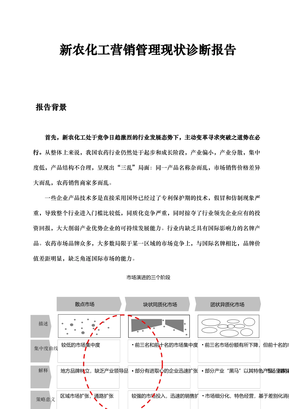 新农化工营销管理现状诊断报告_第1页