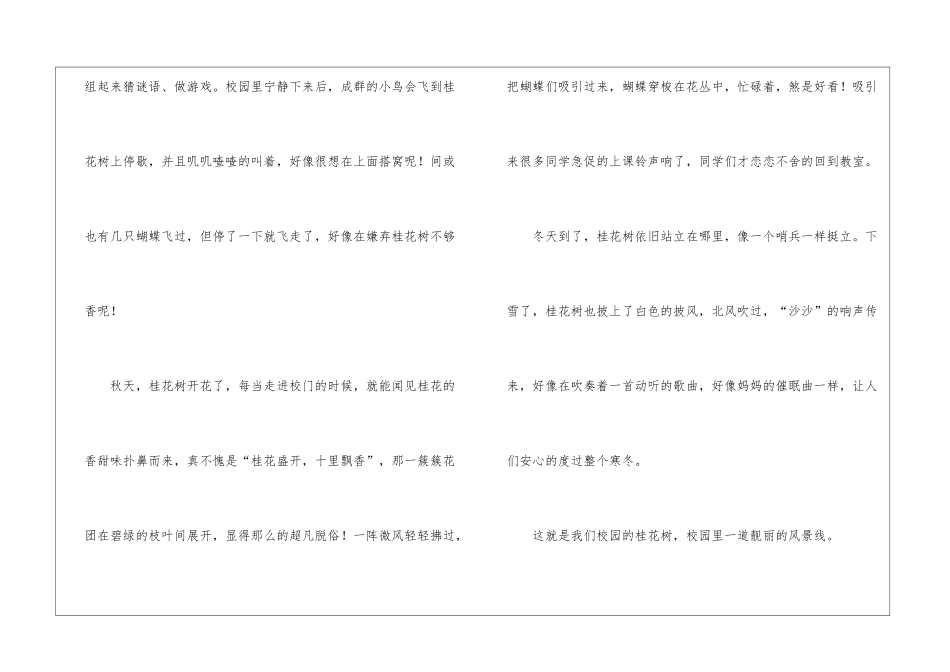 校园里的桂花树作文_第2页
