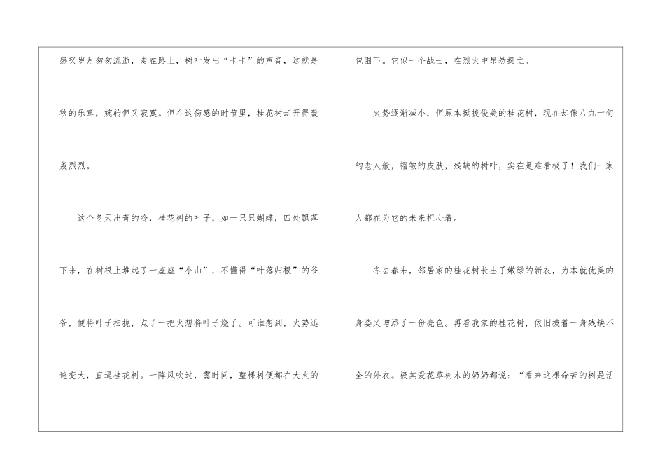 桂花小学作文汇编8篇_第3页