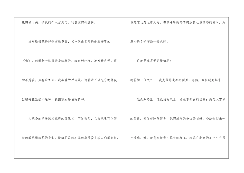 梅花初一作文_第2页