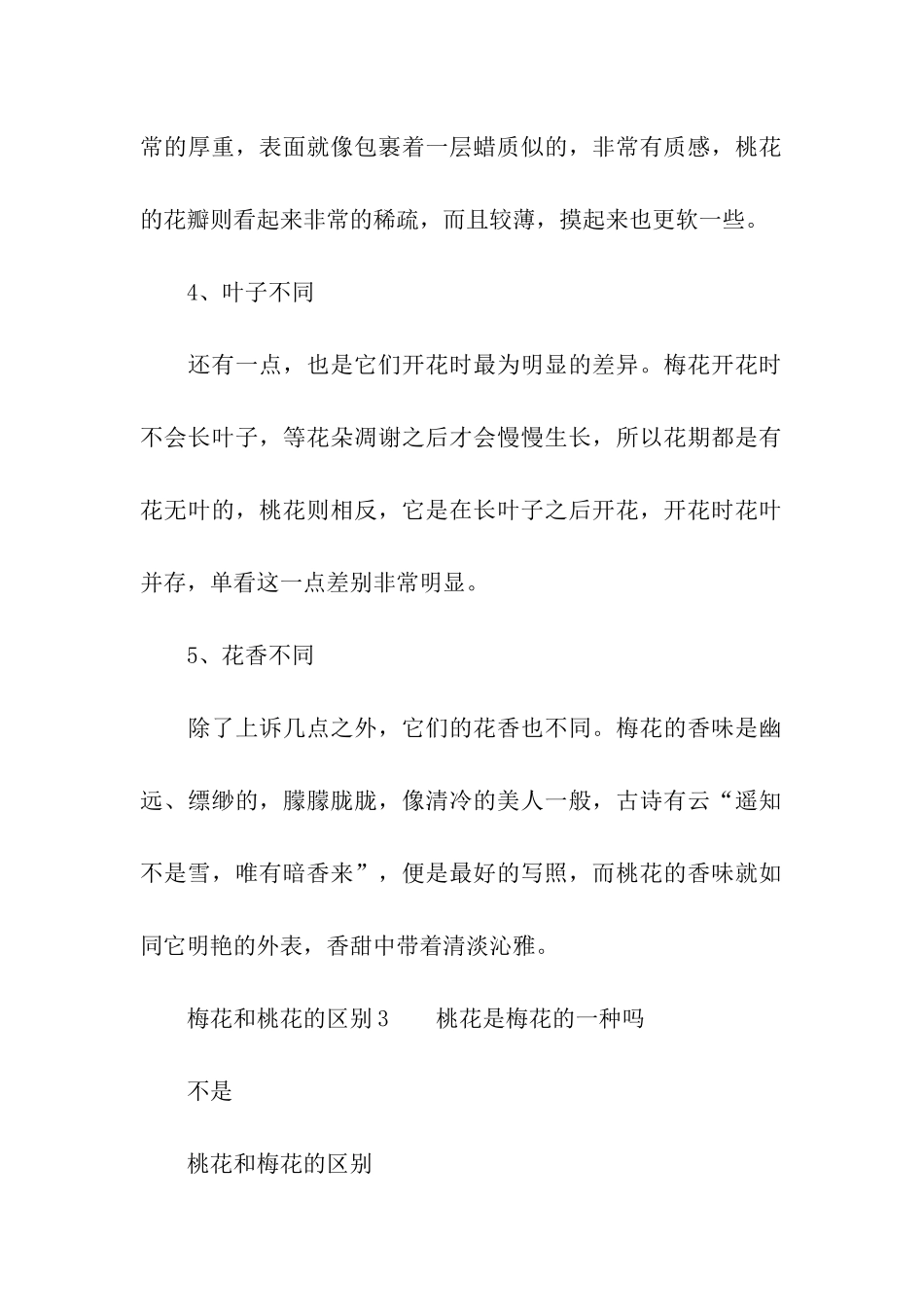 梅花和桃花的区别_第3页