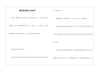 梅花的说明文600字