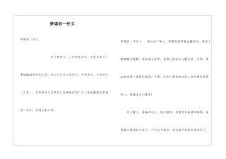 梦境初一作文