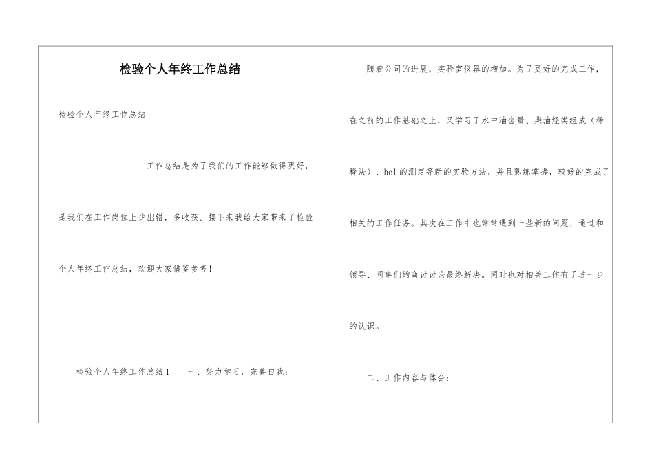 检验个人年终工作总结_第1页
