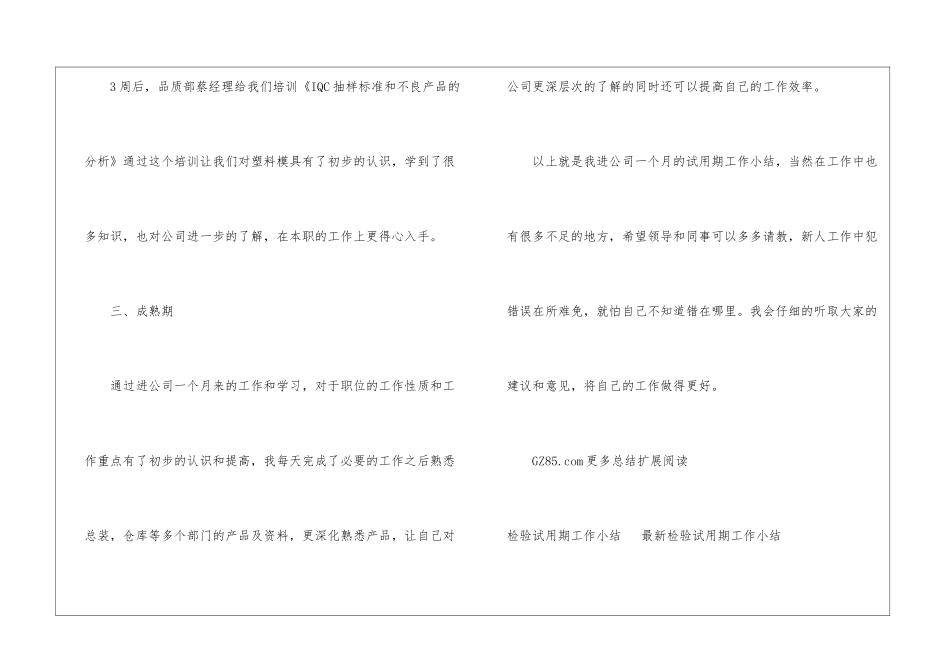 检验试用期个人工作自我总结教师试用期自我总结_第2页